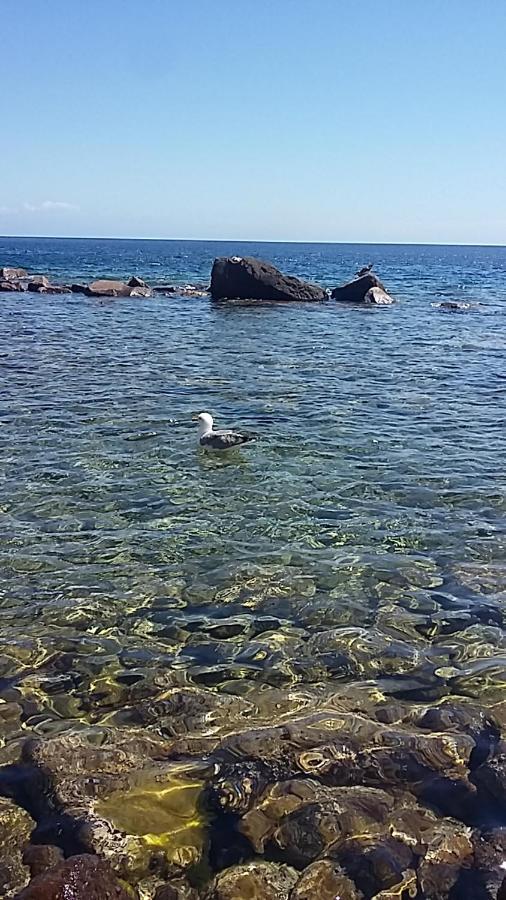 Capraia per te Esterno foto