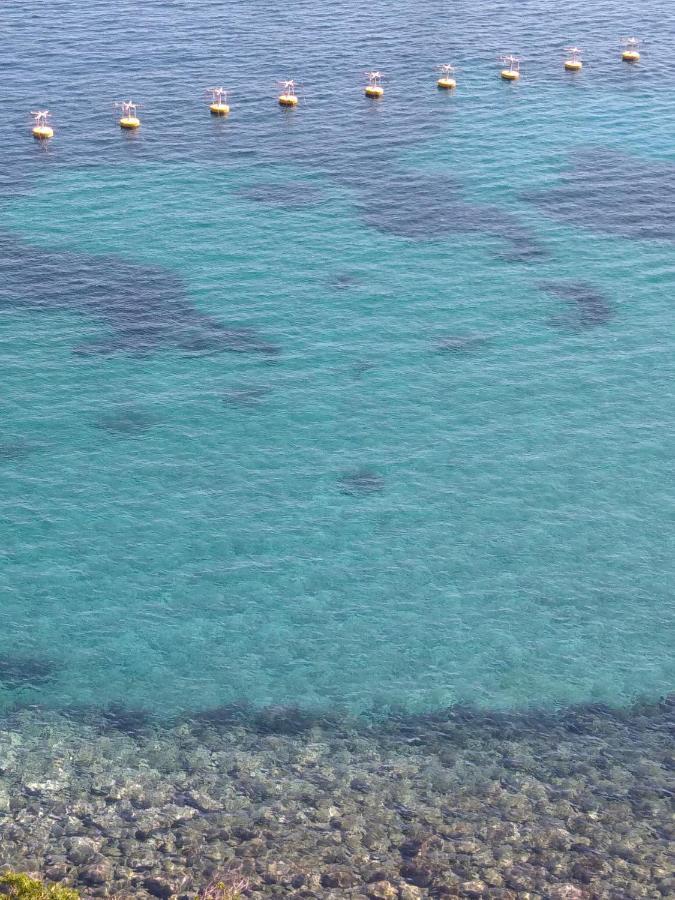 Capraia per te Esterno foto