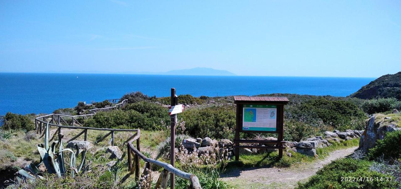 Capraia per te Esterno foto