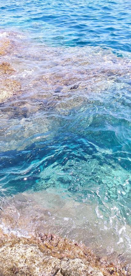 Capraia per te Esterno foto